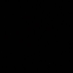 Meet your Posher, Maya